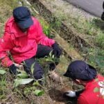 439342379 817772310384609 83407676869822220 n