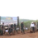 PANEN RAYA DI FOOD ESTATE CIEMAS, BUPATI MARWAN SEMOGA MENINGKATKAN TARAF PEREKONOMIAN MASYARAKAT 3 445436805 842300847931755 8418350623448639741 n