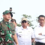 445493355 842300691265104 1413677460606741509 n