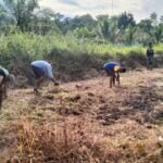 WhatsApp Image 2024 06 12 at 13.06.47