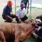 WhatsApp Image 2024 06 19 at 18.32.58