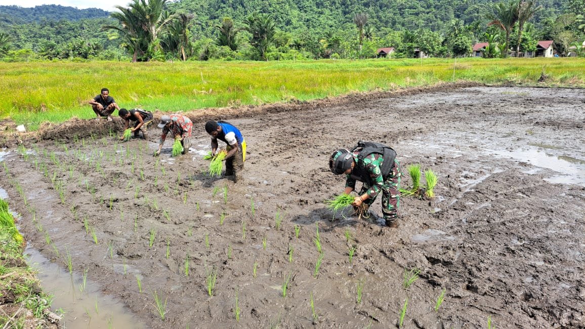 Dukung Ketersediaan Pangan di Perbatasan, Satgas Yonif 310/KK Bantu Petani Garap dan Tanami Lahan 6 WhatsApp Image 2024 07 02 at 12.25.21