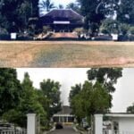 WhatsApp Image 2024 07 15 at 17.18.13