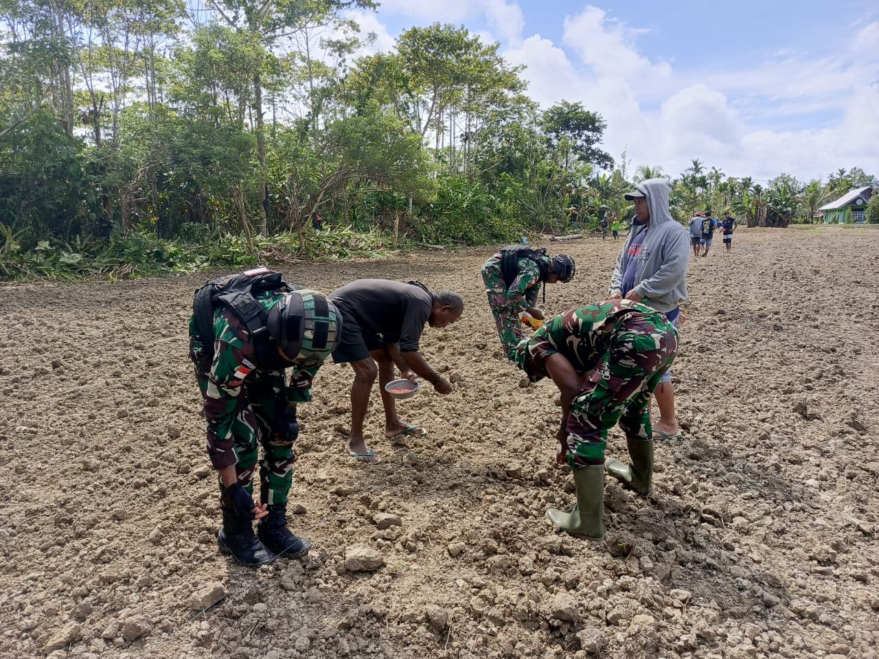 Semangat Swasembada Pangan, Satgas Yonif 310/KK Bersama Warga Perbatasan Tanam Bibit Jagung 2 WhatsApp Image 2024 07 28 at 10.38.00 6f93c27f