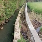 WhatsApp Image 2024 08 19 at 13.05.08 f8ad6b7d