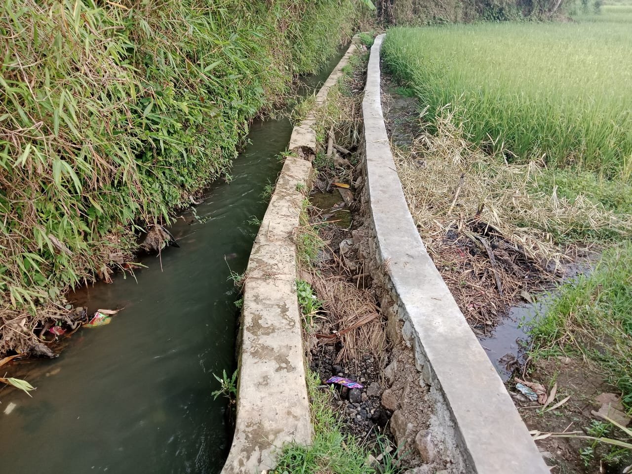 WhatsApp Image 2024 08 19 at 13.05.08 f8ad6b7d