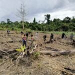 Ketahanan Pangan Digalakkan, Satgas Yonif 310/KK Bersama Warga Perbatasan Tanam Bibit Jagung 2 WhatsApp Image 2024 08 23 at 11.31.59