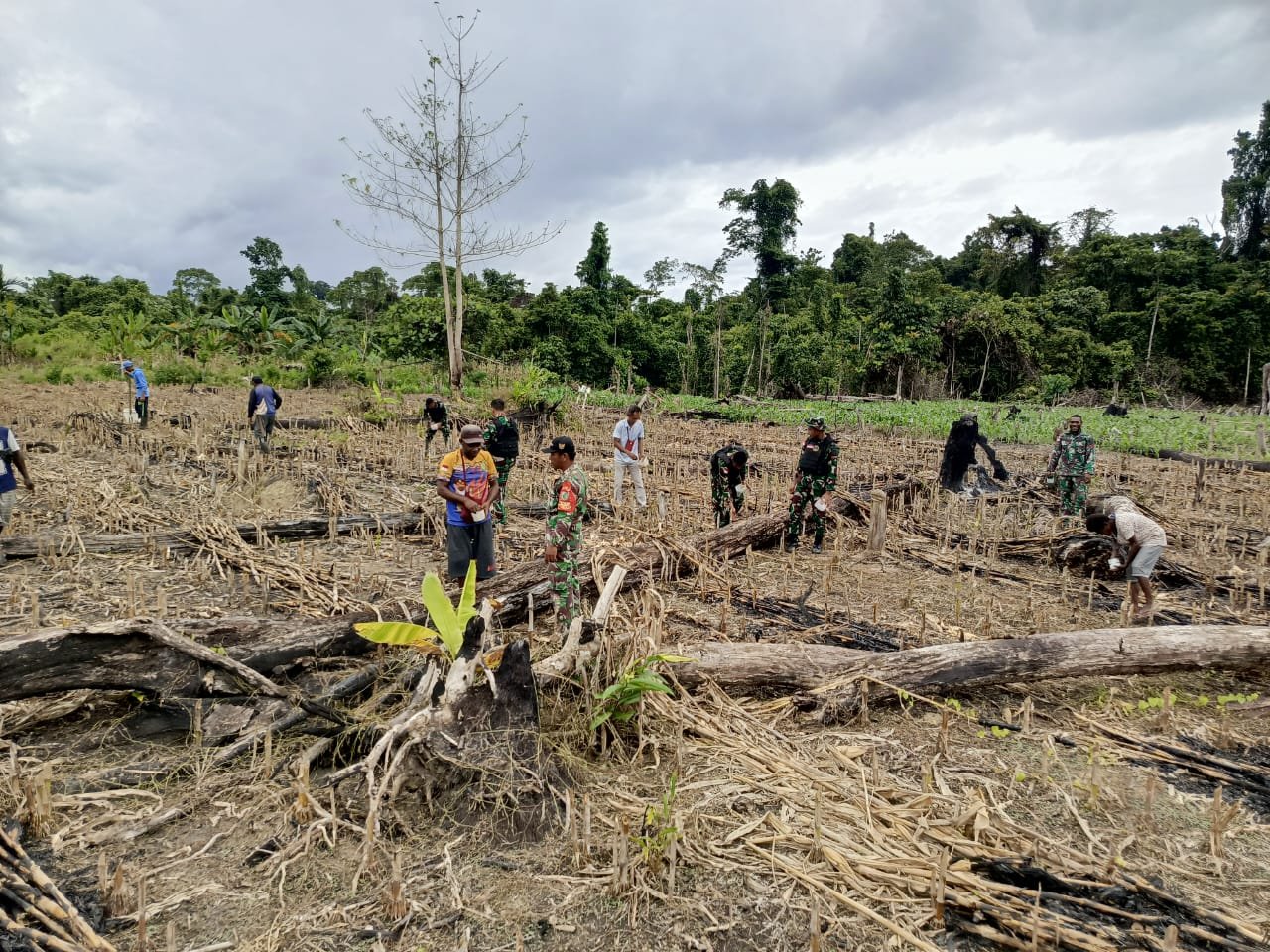 Ketahanan Pangan Digalakkan, Satgas Yonif 310/KK Bersama Warga Perbatasan Tanam Bibit Jagung 4 WhatsApp Image 2024 08 23 at 11.31.59