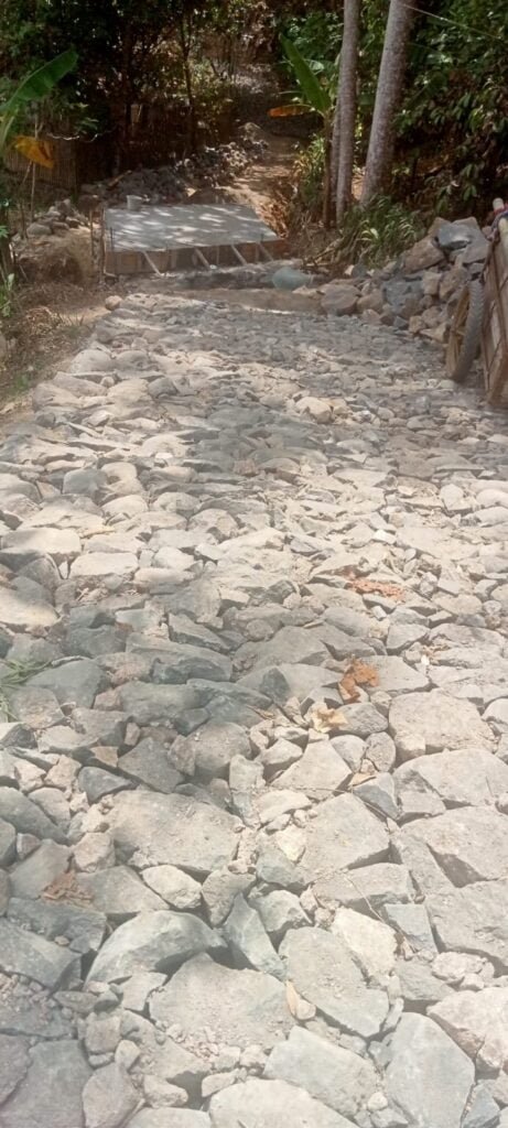 WhatsApp Image 2024 08 29 at 20.07.39 1