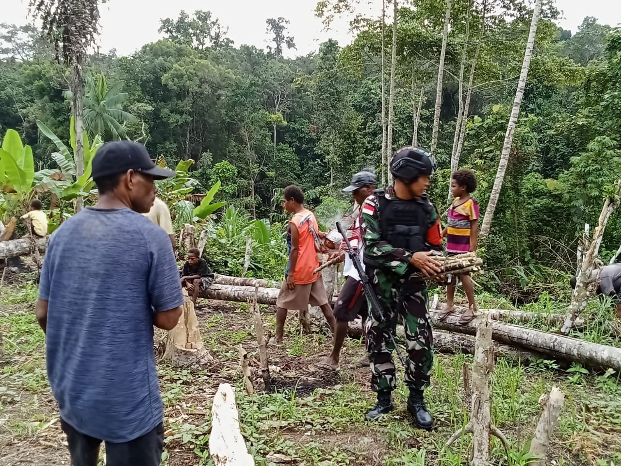 Satgas Yonif 310/KK Bantu Warga Merawat Kebun, Demi Tingkatkan Hasil Panen 1 WhatsApp Image 2024 09 09 at 08.25.45