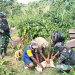 WhatsApp Image 2024 09 11 at 10.59.14