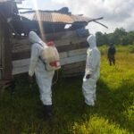 WhatsApp Image 2024 09 12 at 06.35.30