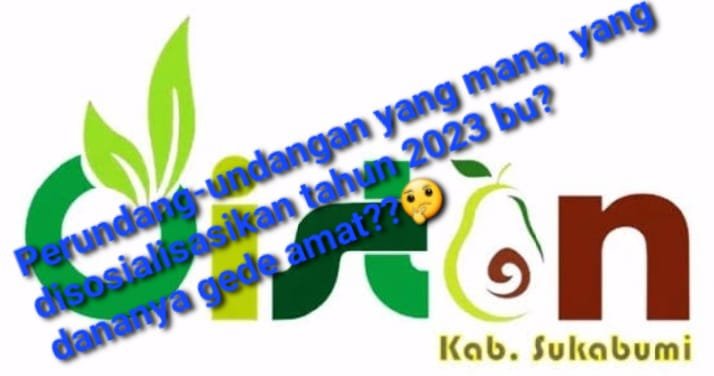 WhatsApp Image 2024 09 12 at 14.14.39