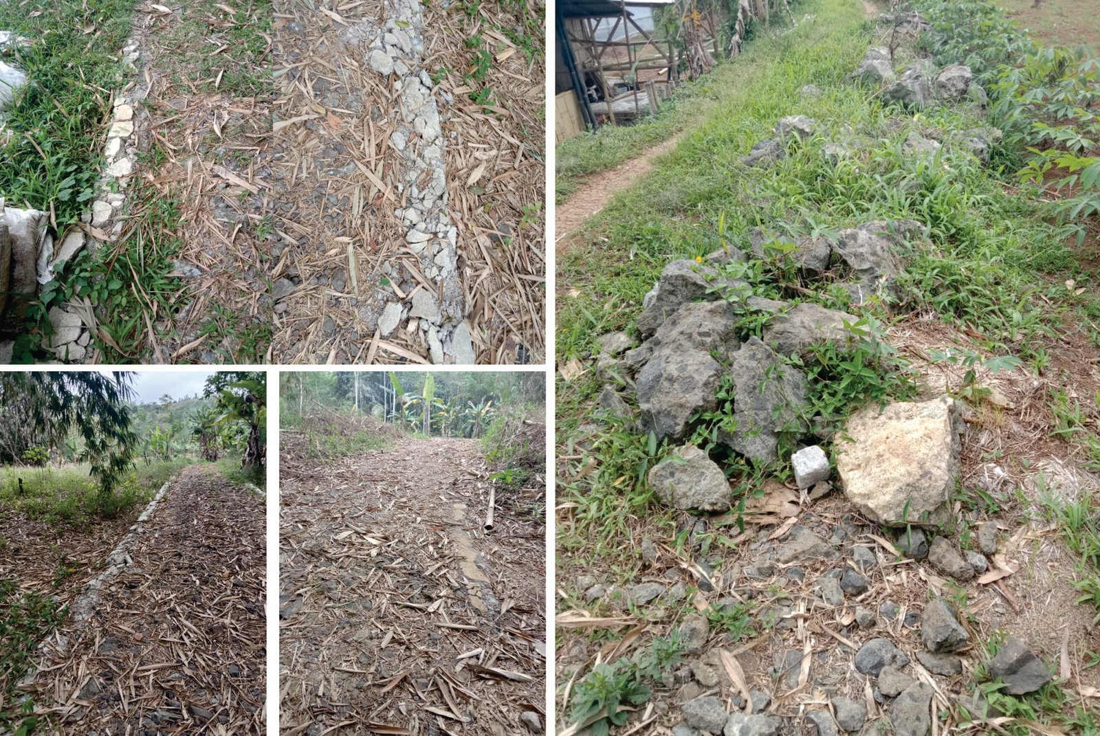 Dugaan Penyalahgunaan DAK 2023: Dinas Pertanian Kabupaten Sukabumi Terjebak dalam Praktik Korupsi Oknum 1 Untitled 2 scaled