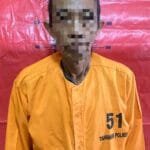 WhatsApp Image 2024 10 07 at 10.29.32