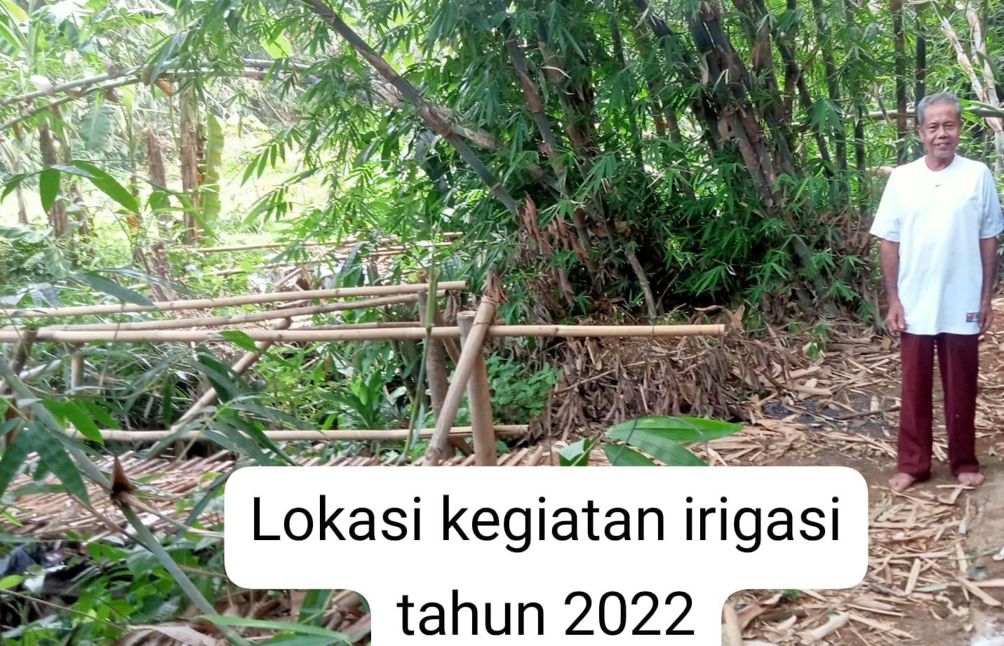 Aspirasi Petani di Sukabumi: Permintaan Bendungan Tak Terwujud, Proyek Irigasi Menjadi Sorotan 1 WhatsApp Image 2024 10 25 at 10.10.14