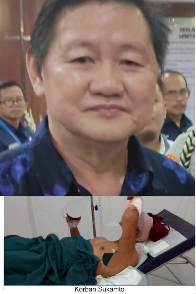 IMG 20241124 WA0104 800x1199 1