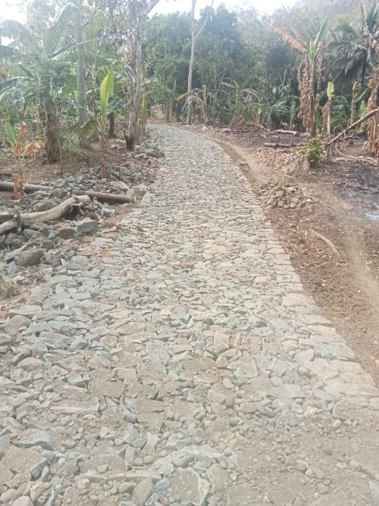 WhatsApp Image 2024 11 23 at 11.15.30