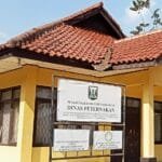 WhatsApp Image 2024 12 04 at 09.24.35