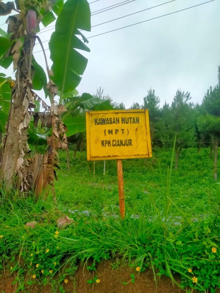 WhatsApp Image 2024 12 25 at 20.56.29