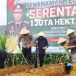 PENANAMAN JAGUNG SERENTAK 1 JUTA HEKTAR DUKUNG SWASEMBADA PANGAN 2025 2 474688626 1001236415371530 3067379527043357291 n