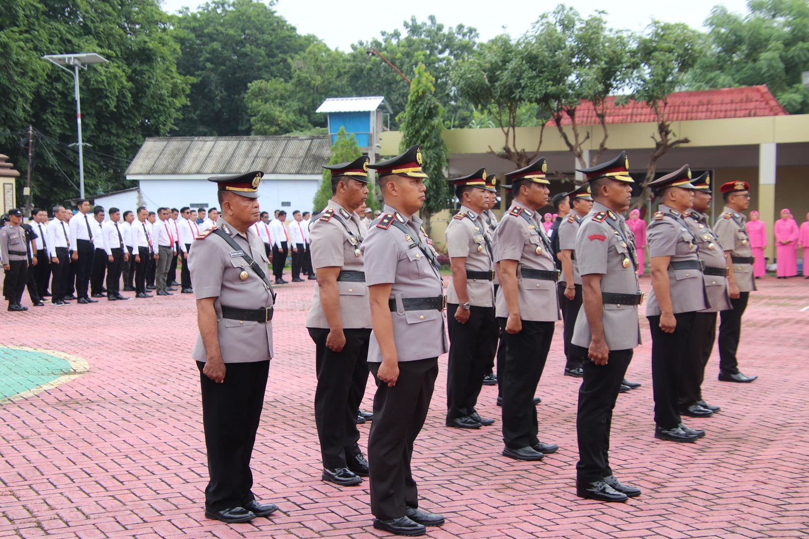 WhatsApp Image 2025 01 02 at 09.28.52