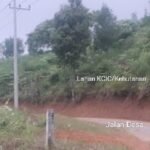 WhatsApp Image 2025 01 02 at 10.46.29