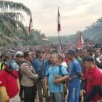 WhatsApp Image 2025 01 03 at 20.11.18