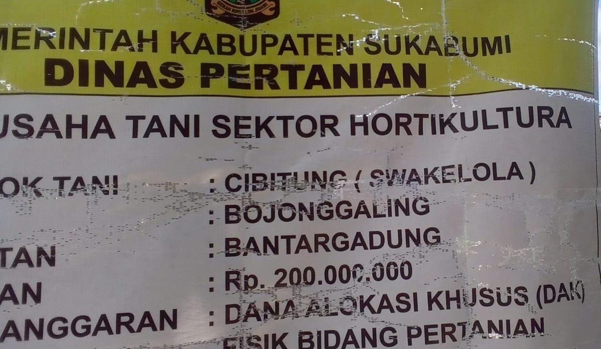 Pengerasan Jalan Usaha Tani di Desa Bojonggaling, Bantargadung: Meningkatkan Aksesibilitas dan Produktivitas Petani 7 WhatsApp Image 2025 01 17 at 19.48.21 1 1