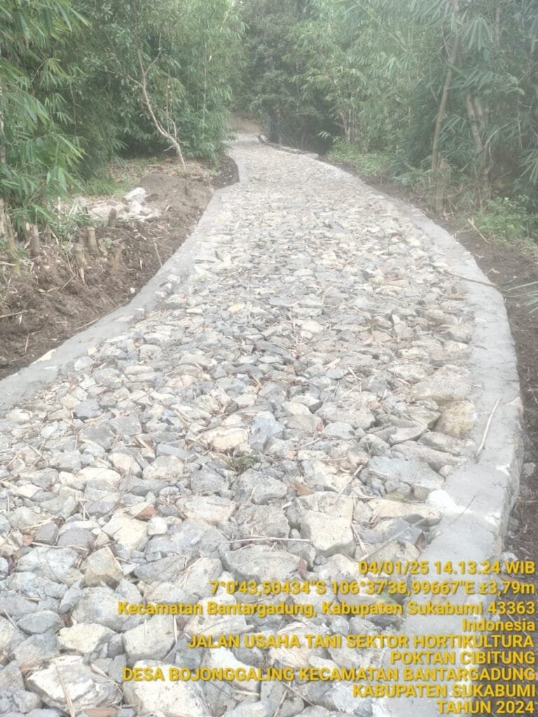 WhatsApp Image 2025 01 17 at 19.48.21 1