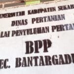 WhatsApp Image 2025 01 23 at 18.13.45 e1737634705986