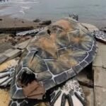 48034d64 3926 48ce 9fde 12de3dd87937