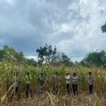 61a246d2 7671 4419 9acd 90be6df1f441