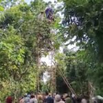 Nahas! Pria di Talango Tersengat Listrik Saat Mencari Pakan Ternak di Atas Pohon 4 8ed4ace2 6567 49ae 8967 0ee081f3b766