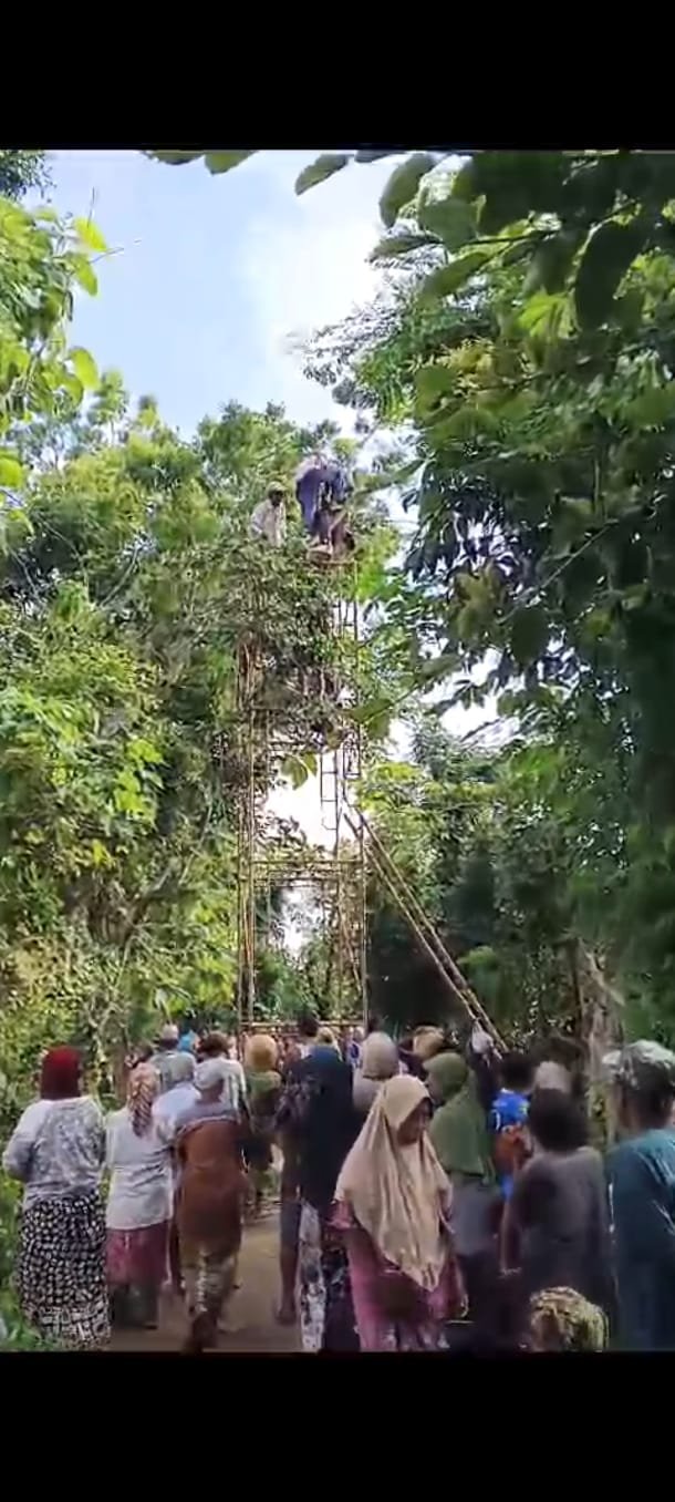 Nahas! Pria di Talango Tersengat Listrik Saat Mencari Pakan Ternak di Atas Pohon 7 8ed4ace2 6567 49ae 8967 0ee081f3b766