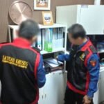 dc1e3af5 213f 407f 8b1c 2cb4419d636b 732x477 1