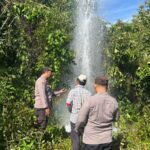 ffd9ca31 f903 483a 9ed8 89256d06dbcb