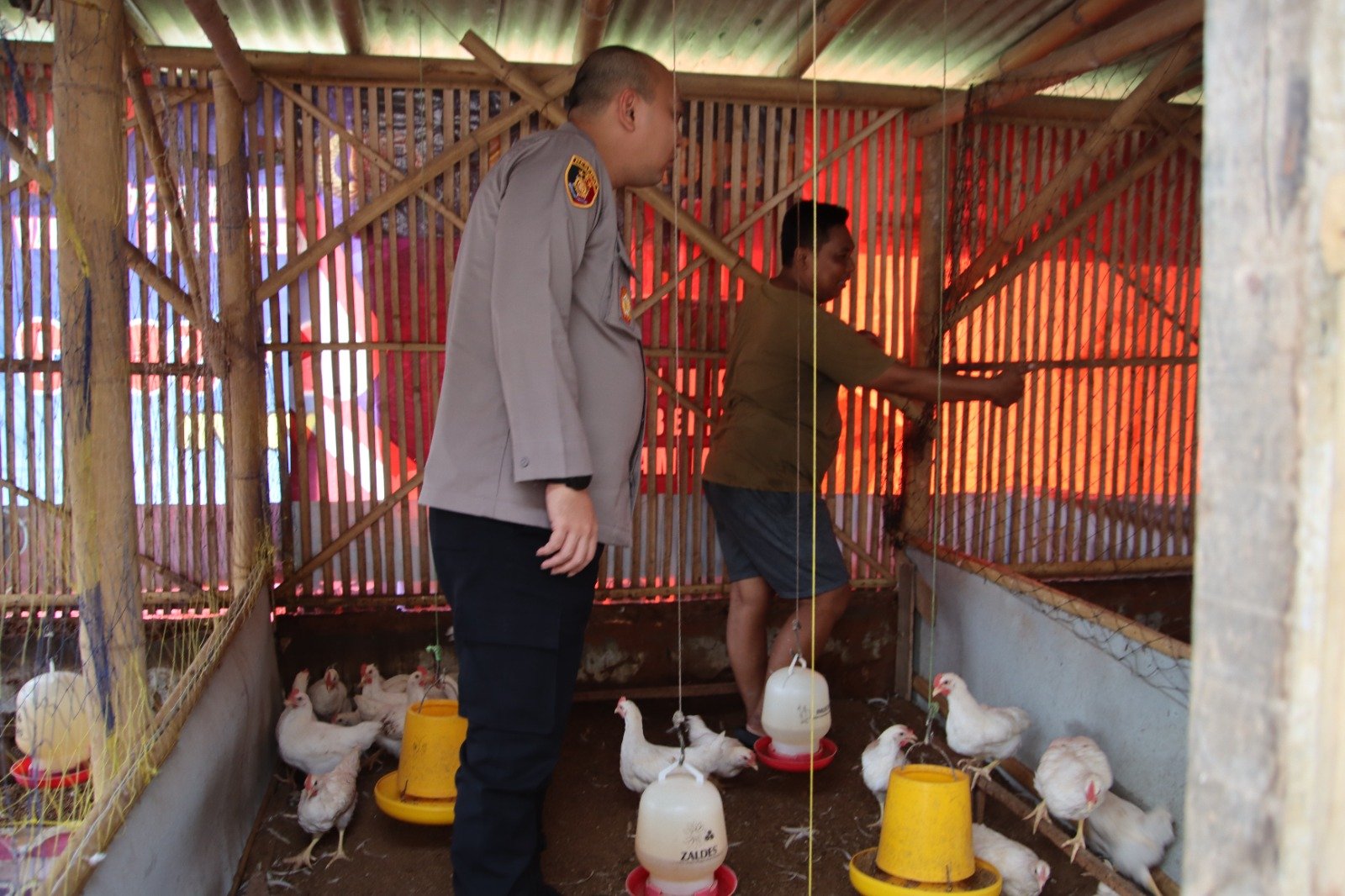 Dukung Ketahanan Pangan, Kapolres Sumenep AKBP Rivanda, S.I.K. Tinjau Peternakan Ayam di Desa Pabian 10 WhatsApp Image 2025 04 18 at 16.44.53 72f9bf86