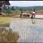 WhatsApp Image 2025 04 25 at 13.20.17 032509cb