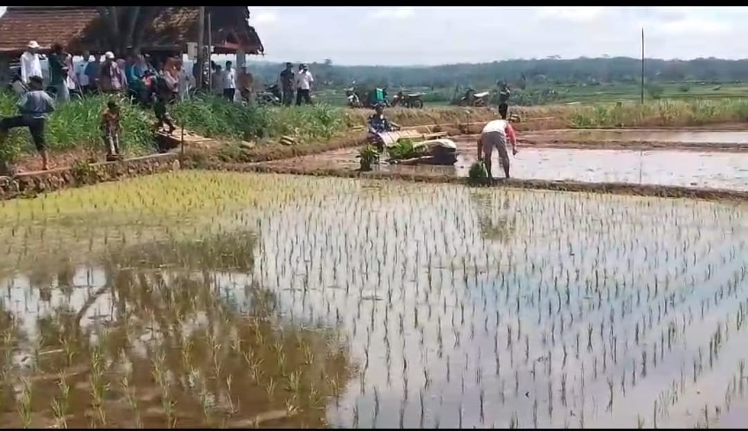 WhatsApp Image 2025 04 25 at 13.20.17 032509cb