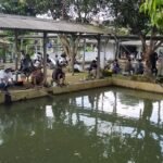 Pemancingan Kang Ai Surga Kecil Bagi Pecinta Mancing di Bogor Selatan 2 WhatsApp Image 2025 04 30 at 16.11.40 584d195d