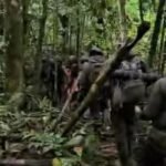 Drama di Tengah Hutan Papua: Anggota Brimob Disengat Lebah Saat Cari Iptu Tomi, Dievakuasi dalam Kondisi Kritis 2 operasi pencarian mantan kasat reskrim polres teluk bintuni iptu marbun di dalam hutan 1745903314823 169