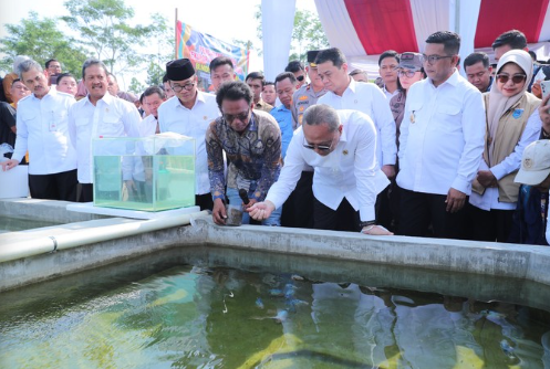 Screenshot 2025 05 10 005258