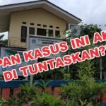 WhatsApp Image 2025 05 16 at 14.24.30 467755fe