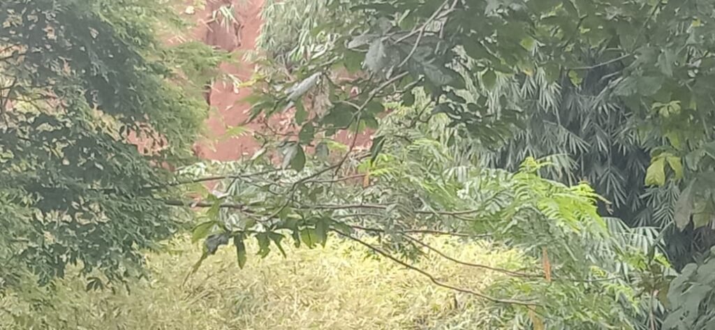 WhatsApp Image 2025 05 26 at 13.10.11 ac354dff