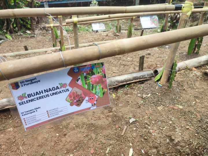 WhatsApp Image 2025 06 02 at 10.35.53 d1d40309