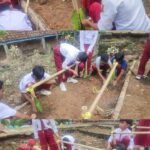 WhatsApp Image 2025 06 02 at 10.48.20 6fc71e8b