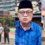 WhatsApp Image 2025 06 03 at 09.56.50 417e5fa4