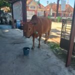 WhatsApp Image 2025 06 06 at 19.23.04 00b65c4f