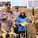 WhatsApp Image 2025 06 07 at 17.56.11 211348b9